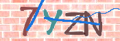 キャプチャ画像
